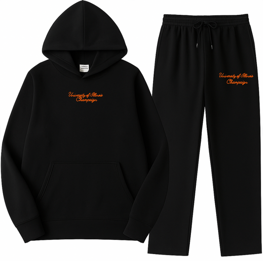 University of Illinois